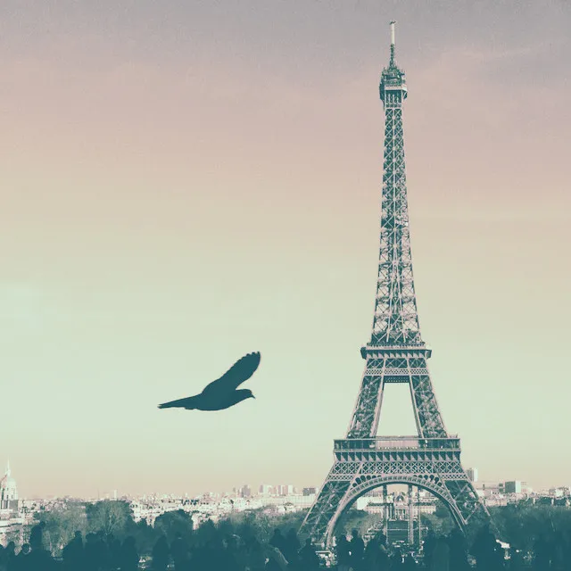 A bird in flight past the Eiffel Tower under a pale sky